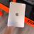 ipad mini 4 128GB 2 thumbnail