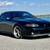 1999 Mustang Cobra 4 thumbnail