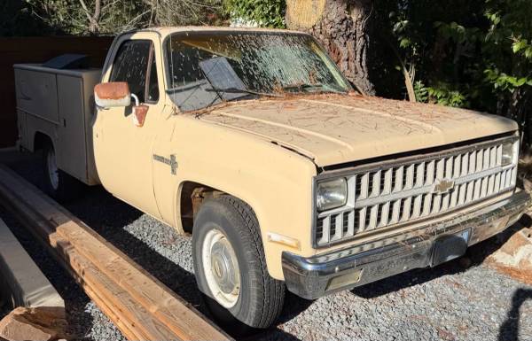 1982 Chevrolet C20 with work boxes 1