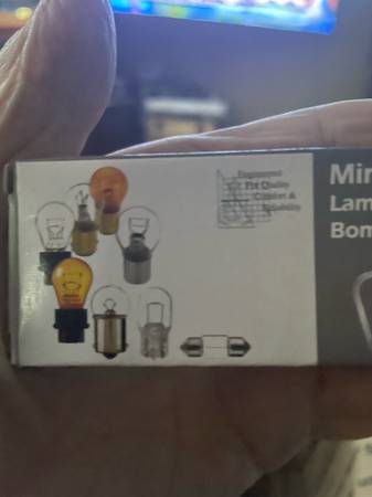 Minature bulbs 1