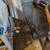 Band Saw - 1930's 12" Craftsman 5 thumbnail