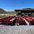 Mulltek Feed Bunks 1 thumbnail
