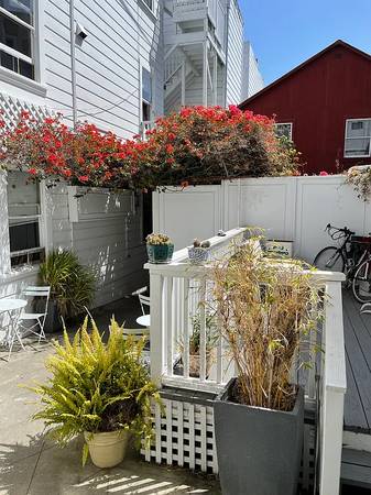 $1,240 / 1br - Rare find: immaculate Jr. 1BR 1BA small stand-alone COTTAGE (San Francisco)63884004462209120