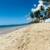 Deleite al despertar con espectacular vista al mar! 14 thumbnail