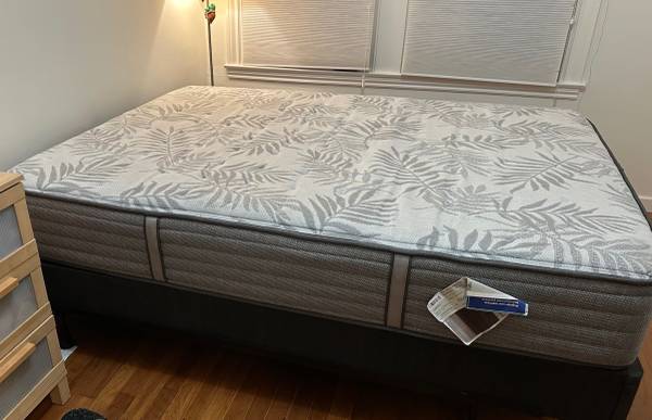 Free queen mattress + foundation + frame 1