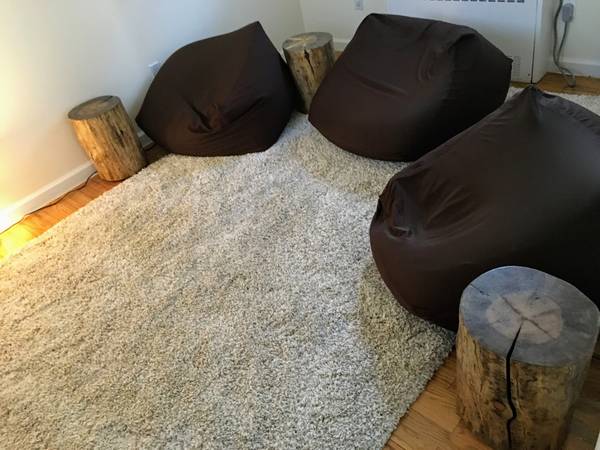 3 Muji bean bags; 3 stump tables; fluffy Safavieh shag rug (6'7"x9'6") 1