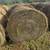 Round baled hay for sale. 1 thumbnail