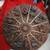 Art Wall Art Vintage Plaster Zodiac hand crafted 1 thumbnail