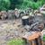 FIREWOOD 3 thumbnail