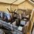 NEW Kaelyn DINING CHAIRS - SET OF FOUR (4) 7 thumbnail