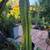 Tall Cactus 15 thumbnail
