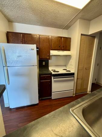 MOVE-IN SPECIAL | Comfortable2 Bd 2 Ba Apartment in Amherst! 1