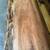 Walnut, Cherry Live Edge Slabs Lumber, Oak, Maple, Hickory, Ash 7 thumbnail