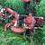 Parting out Case Comfort King & Case-O-Matic Tractors 18 thumbnail