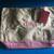 Brand new Palmetto pouches PHI MU  lettered canvas Tote 18X5X9 w/magnetic snap 1 thumbnail