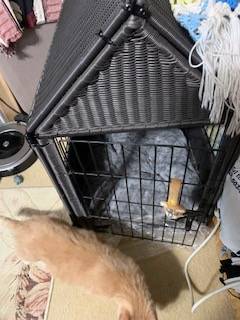 WICKER PET CAGE 1