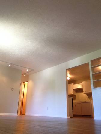 $900 / 2br - 700ft2 - DOWNTOWN LANSING - 2 Bedroom, 1 Bath Apt. (Downtown Lansing)63620275034883122