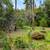 2+ acres with all usable terrain! 13 thumbnail