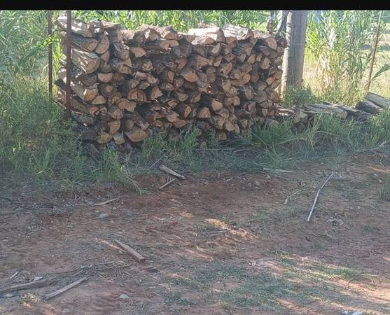 Firewood 1
