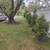 "Arturo" Landscaping 7 thumbnail