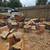 Cutting wood 2 thumbnail
