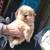 Shih Tzu Puppies 3 thumbnail