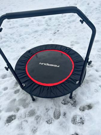 Exercise Trampoline 1