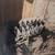 Remodeling, Painting, Landscaping, Home Repairs 13 thumbnail