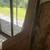 Shelving 2 thumbnail