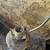 Pair of Japanese Mid Certury Modern Lamps 17 thumbnail