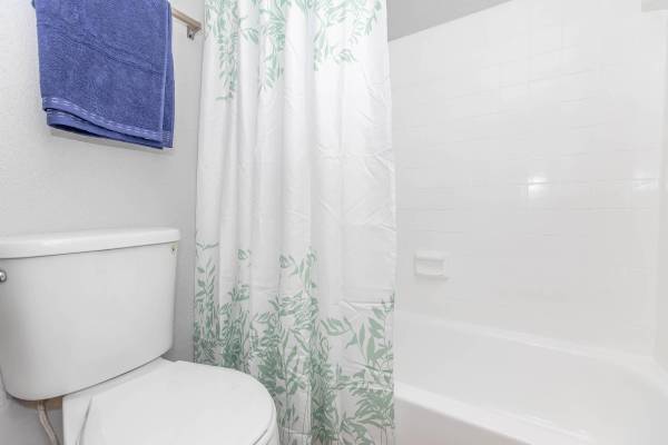 Studio- READY TO MOVE IN!!! 1