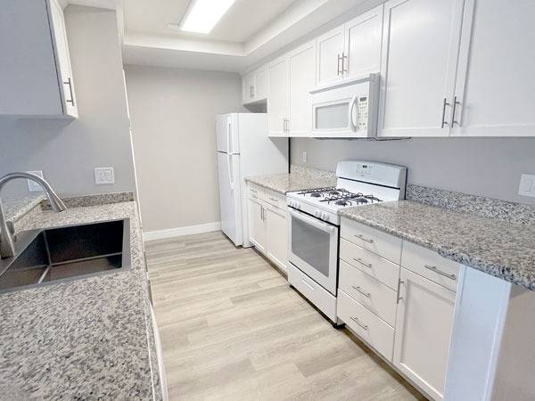 1BR apt, NEW flooring throughout, LUX kitchen, BONUS storage on patio 1