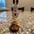 Dept 56 - Peanuts Snoopy and Woodstock 4 thumbnail