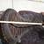 CIRCLE Y 2133 EQUITATION HAND CRAFTED HORSE SADDLE 4 thumbnail