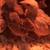 Serama bantams chicks available 3 thumbnail