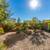 Fabulous 3-bedroom/2.5-bath House in Green Valley **FORMER MODEL HOME* 23 thumbnail