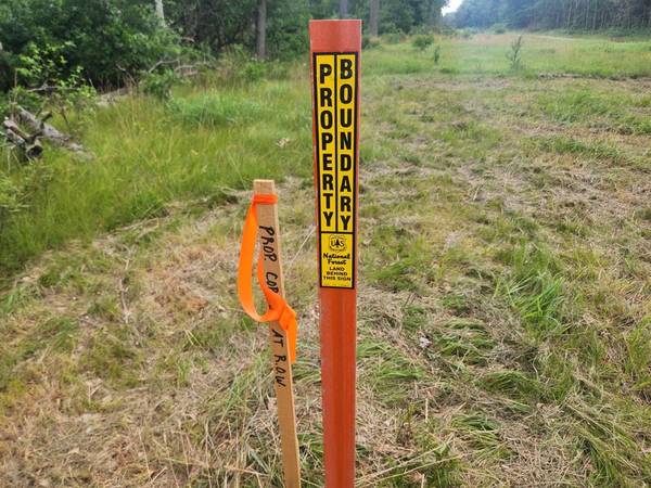 $68,900 10 Acres Vacant in Baldwin Land Build Your Dream Cabin! MLS#25035884 (Baldwin)64037895980675120