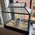 Glass terrarium 1 thumbnail