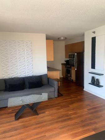 River North Apartment 1