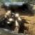 piglets 2 thumbnail