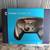 Valve Steam Controller (Model 1001):Physical & Input LayoutDual Trackp 1 thumbnail