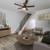 Fully renovated 2+ 1.5 Ocean Beach Townhome with Parking and In-unit L 4 thumbnail
