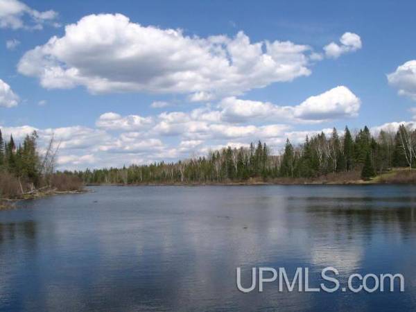 $80,000 33 Acres 1/4 of Net River frontage MLS 50188529 (Amasa)64151609235842123