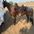 13 year old grade Gelding 1 thumbnail