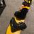 Snowboard 149 cm Burton, Boots size 9 mens, bindings included 1 thumbnail