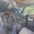 2000 Dodge Ram Conversion Van 1500 (Az.reg. expires in 2031) 14 thumbnail