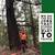 🌲😊🌳FREE Offer/Tree Care Serving Marin County to North San Francisco 3 thumbnail