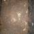 red wiggler breeding bins includes couple thousand of red wigglers 4 thumbnail