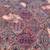 Authentic Karastan Kirman #717 9x12' Persian area rug in perfect shape 7 thumbnail