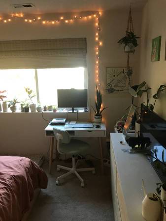$638 / 3br - 1400ft2 - Bethany Area - Second Bedroom - Available July 1st (Beaverton)63199355311491122
